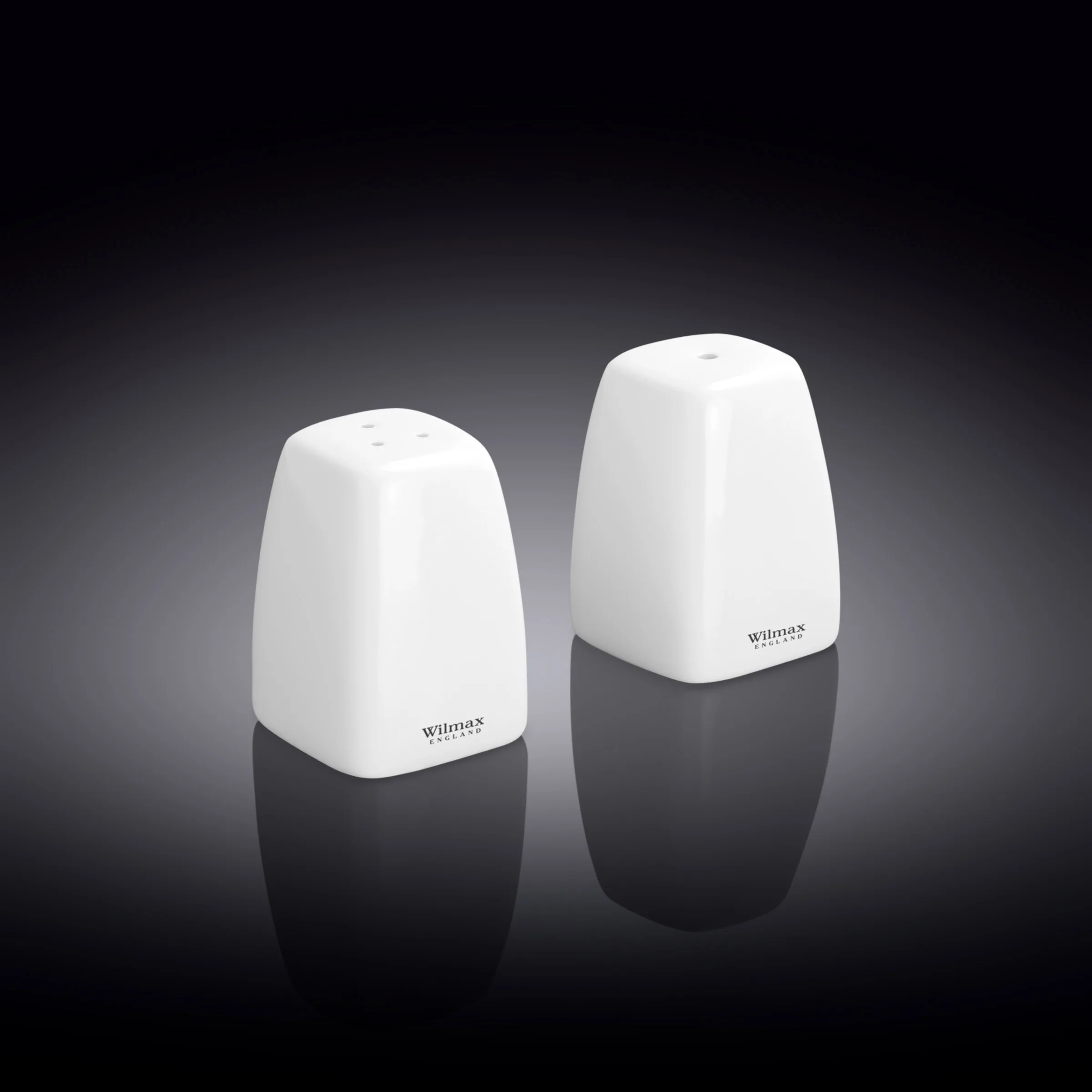 Salt and Pepper set WILMAX