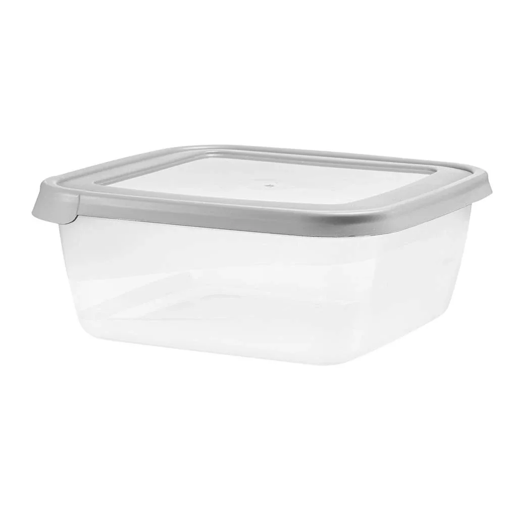 Food container 2.5L Albert DOMOTTI, 21.5 x 21.5 cm